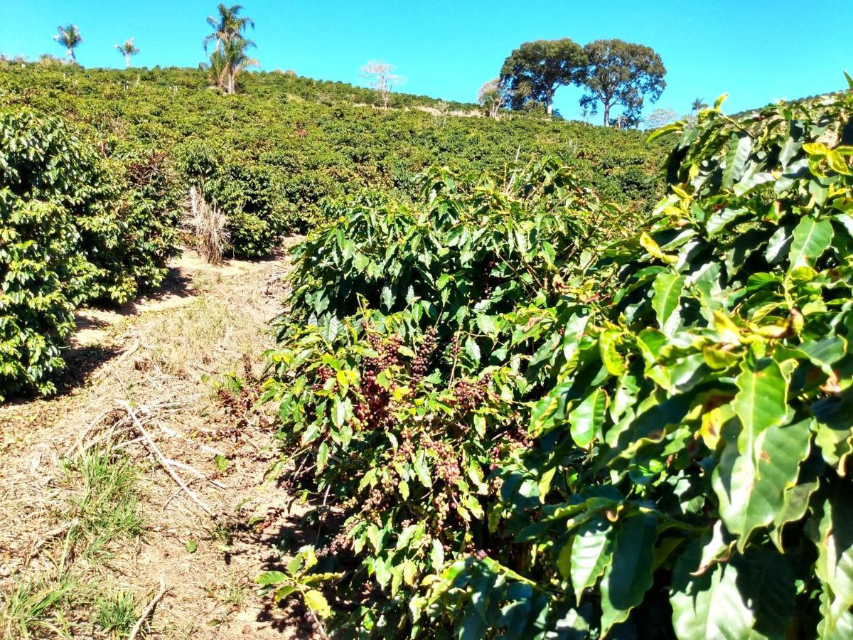 Recanto Dos Cafezais Villa Bueno Brandao Luaran gambar